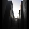 6d319514e9ecba6a0798-avatar-image-100x