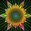 7ae61ac1bb4cda7d02a3-avatar-image-100x