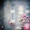 F3bed34f7f8b1152ea1f-avatar-image-100x