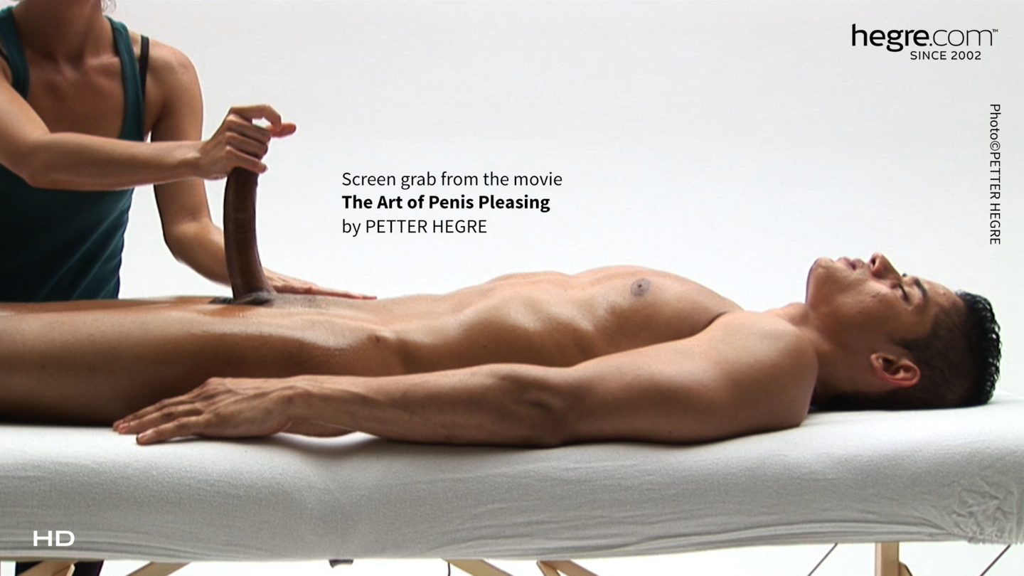 The Art Of Penis Pleasing 